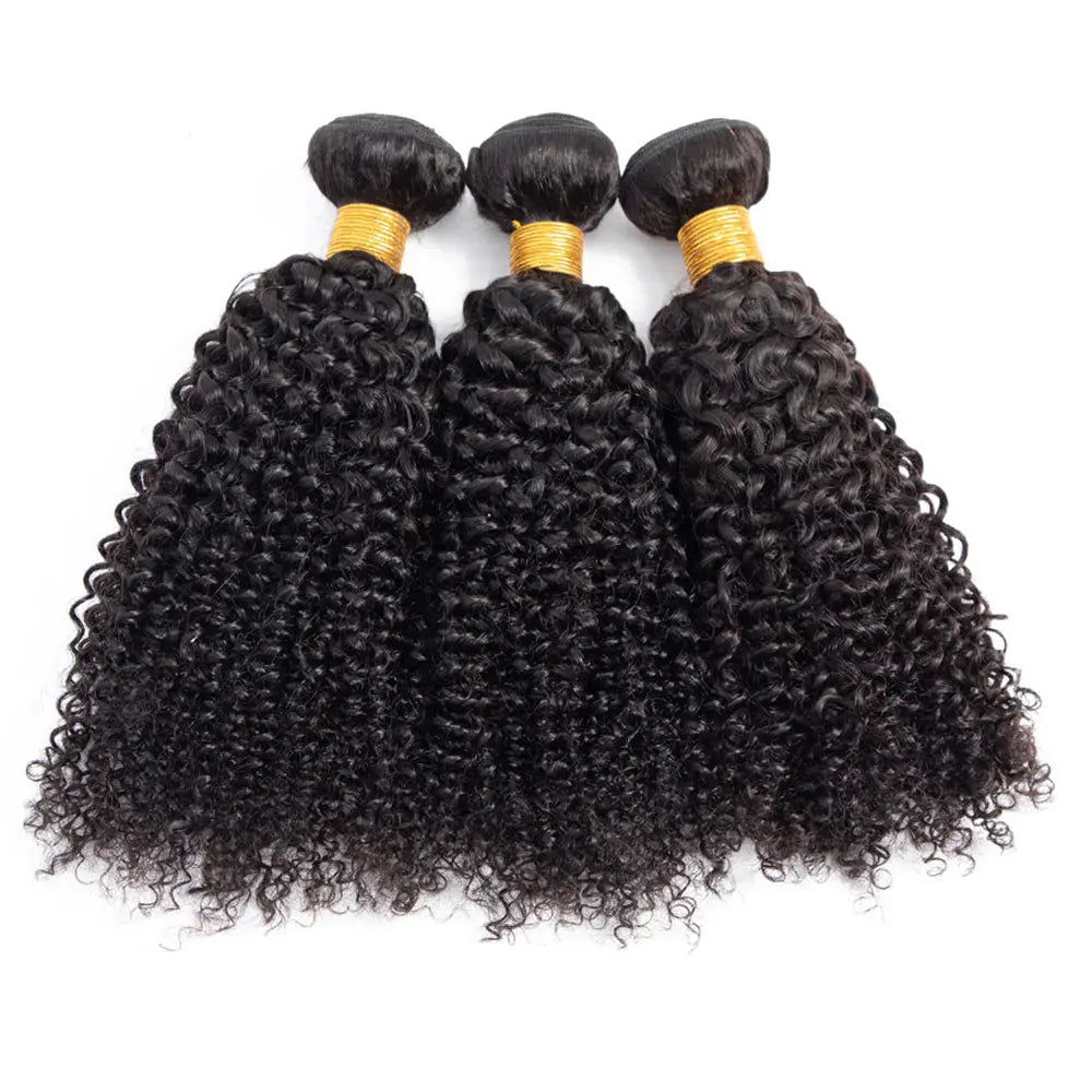 3 Bundle Deals With 4*4 Closure Kinky Curly Raw Human Hair Natural Black StylzPlusBeautyandHairConcepts