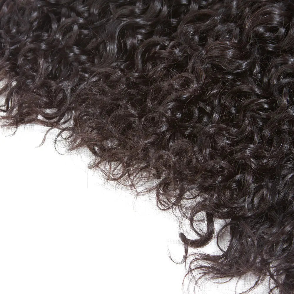 3 Bundle Deals Natural Curly Raw Human Hair Natural Black StylzPlusBeautyandHairConcepts